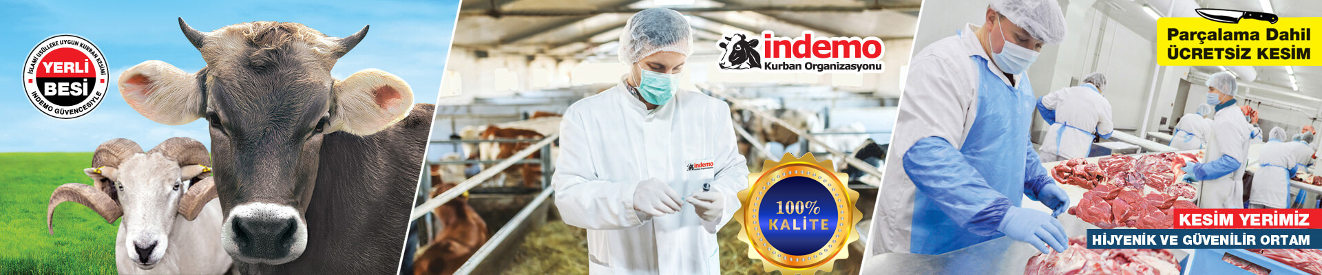 Innovation Living TR