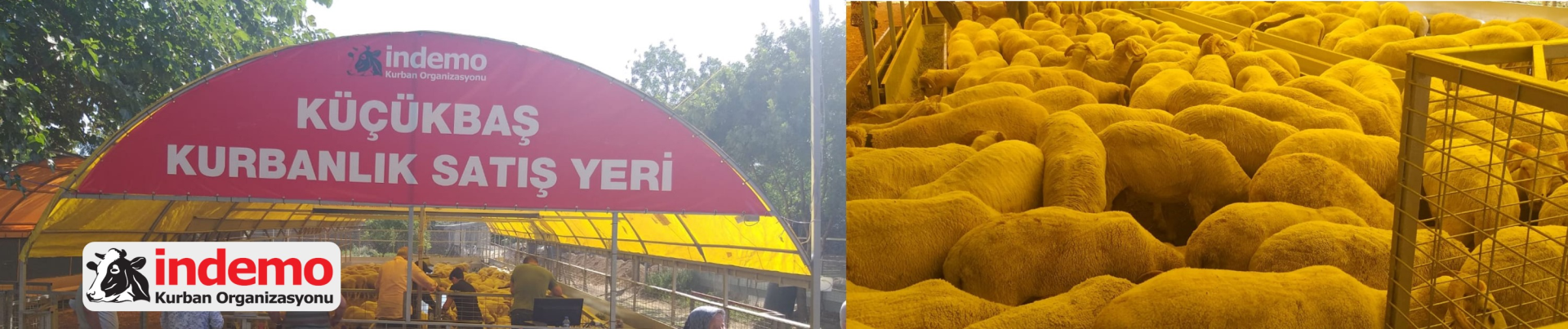 Innovation Living TR