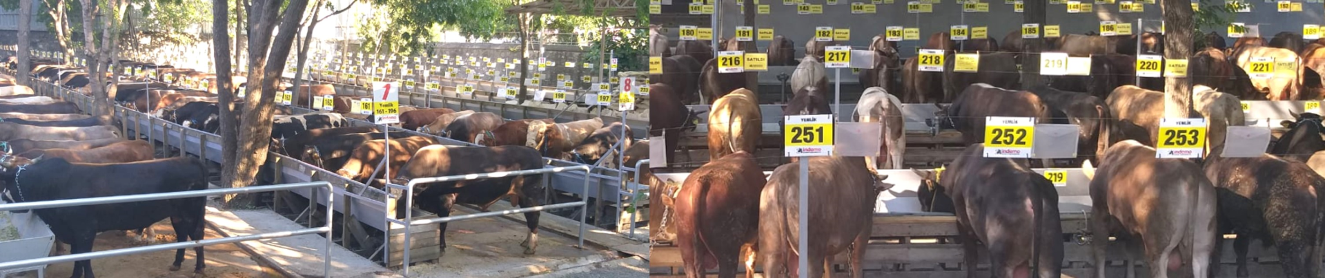 Innovation Living TR