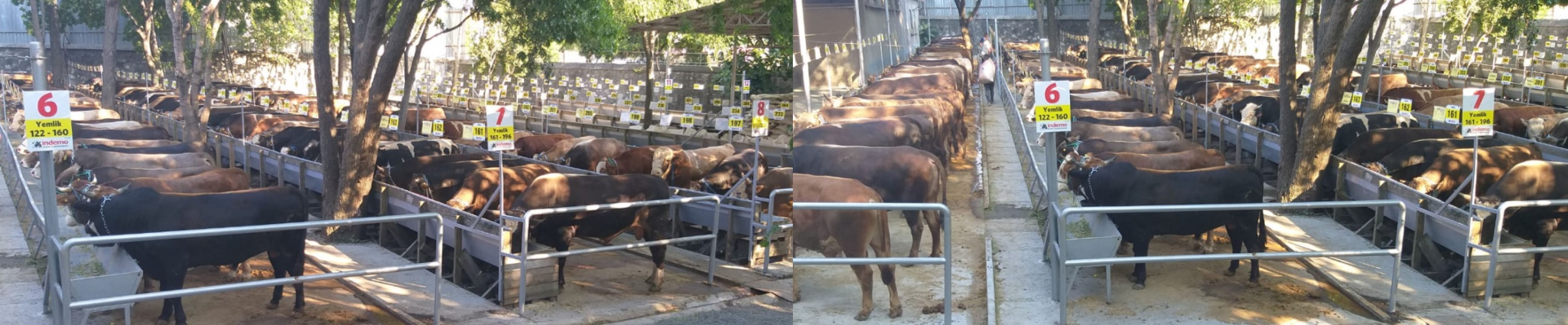 Innovation Living TR