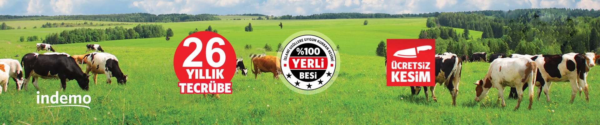 Innovation Living TR